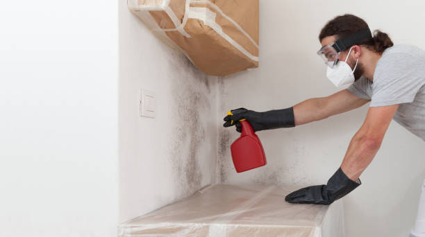 Professional Mold Inspection And Testing technician working in Grant, MI